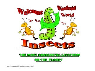 http://www.earthlife.net/insects/six01.html 