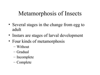 Metamorphosis of Insects Several stages in the change from egg to adult Instars are stages of larval development Four kinds of metamorphosis Without Gradual Incomplete Complete 