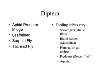 Diptera Aphid Predator Midge  Leafminer  Surphid Fly  Tachinid Fly Feeding habits vary Scavengers (House flies) Blood feeders (Mosquitos) Plant galls (gall midges) Predators (flower files) Aquatic 