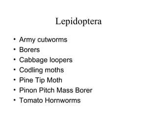 Lepidoptera Army cutworms Borers  Cabbage loopers  Codling moths  Pine Tip Moth  Pinon Pitch Mass Borer  Tomato Hornworms 
