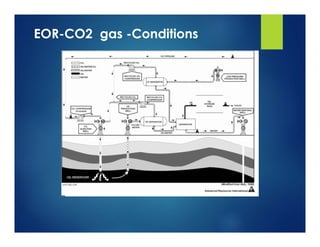 EOR-CO2 gas -Conditions
 