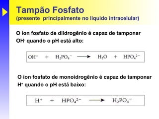 Tampão Fosfato
(presente principalmente no líquido intracelular)

O íon fosfato de diidrogênio é capaz de tamponar
OH- quando o pH está alto:




O íon fosfato de monoidrogênio é capaz de tamponar
H+ quando o pH está baixo:
 