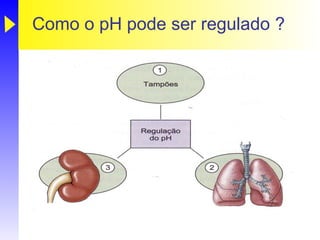 Como o pH pode ser regulado ?
 