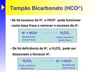 Tampão Bicarbonato (HCO3-)

• Se há excesso de H+, o HCO3- pode funcionar
 como base fraca e remover o excesso de H+.

       H+ + HCO3-                H2CO3
        Bicarbonato           Ácido carbônico
        (base fraca)           (ácido fraco)


• Se há deficiência de H+, o H2CO3 pode ser
 dissociado e fornecer H+.

        H2CO3                 H+ + HCO3-
     Ácido carbônico               Bicarbonato
      (ácido fraco)                (base fraca)
 