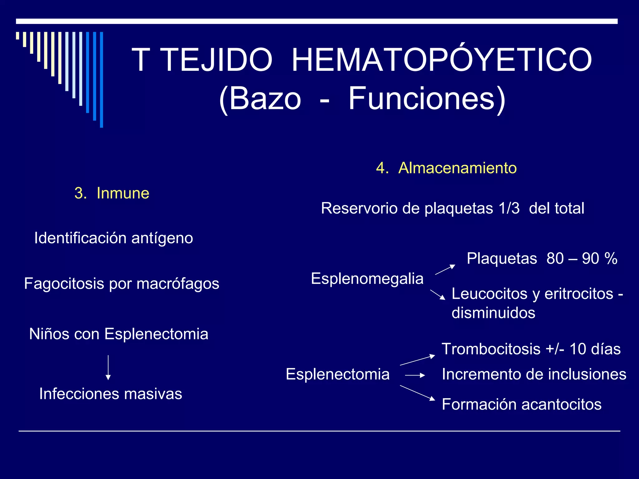 T TEJIDO HEMATOPÓYETICO
                    (Bazo - Funciones)

                                        4. Almacenamiento
      3. Inmune
                                 Reservorio de plaquetas 1/3 del total
 Identificación antígeno
                                                     Plaquetas 80 – 90 %
Fagocitosis por macrófagos      Esplenomegalia
                                                   Leucocitos y eritrocitos -
                                                   disminuidos
Niños con Esplenectomia
                                                 Trombocitosis +/- 10 días
                             Esplenectomia       Incremento de inclusiones
  Infecciones masivas
                                                 Formación acantocitos
 
