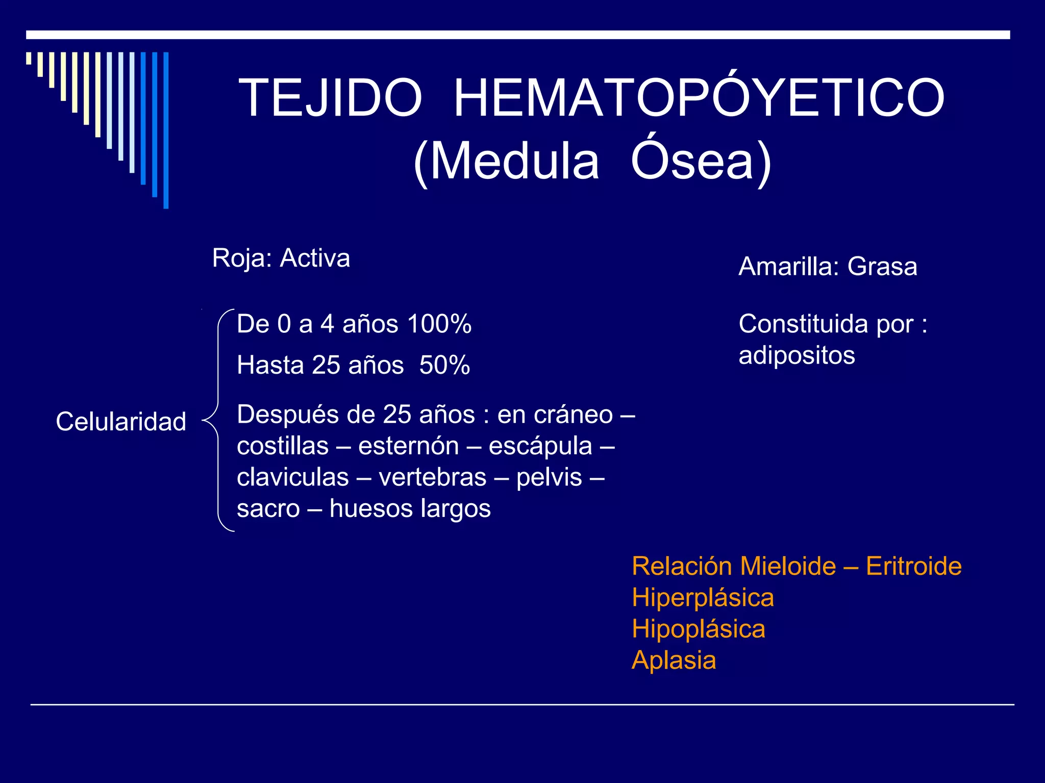 TEJIDO HEMATOPÓYETICO
                      (Medula Ósea)
              Roja: Activa                               Amarilla: Grasa

                De 0 a 4 años 100%                       Constituida por :
                Hasta 25 años 50%                        adipositos

Celularidad     Después de 25 años : en cráneo –
                costillas – esternón – escápula –
                claviculas – vertebras – pelvis –
                sacro – huesos largos

                                                Relación Mieloide – Eritroide
                                                Hiperplásica
                                                Hipoplásica
                                                Aplasia
 