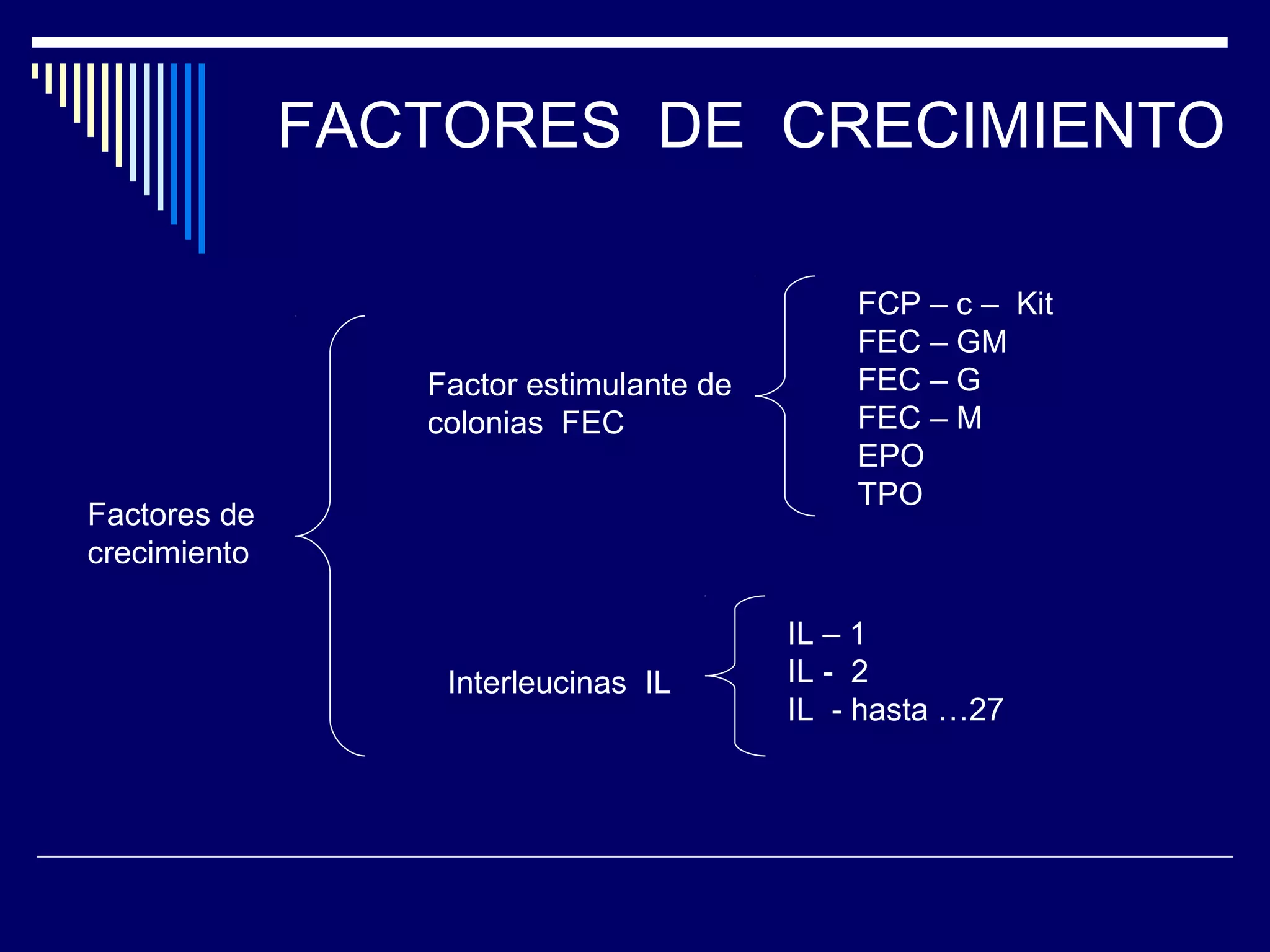 FACTORES DE CRECIMIENTO

                                             FCP – c – Kit
                                             FEC – GM
                 Factor estimulante de       FEC – G
                 colonias FEC                FEC – M
                                             EPO
                                             TPO
Factores de
crecimiento

                                         IL – 1
                  Interleucinas IL       IL - 2
                                         IL - hasta …27
 
