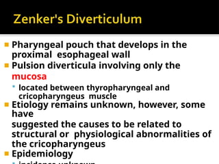 ◾ Pharyngeal pouch that develops in the
proximal esophageal wall
◾ Pulsion diverticula involving only the
mucosa
 located between thyropharyngeal and
cricopharyngeus muscle
◾ Etiology remains unknown, however, some
have
suggested the causes to be related to
structural or physiological abnormalities of
the cricopharyngeus
◾ Epidemiology
 