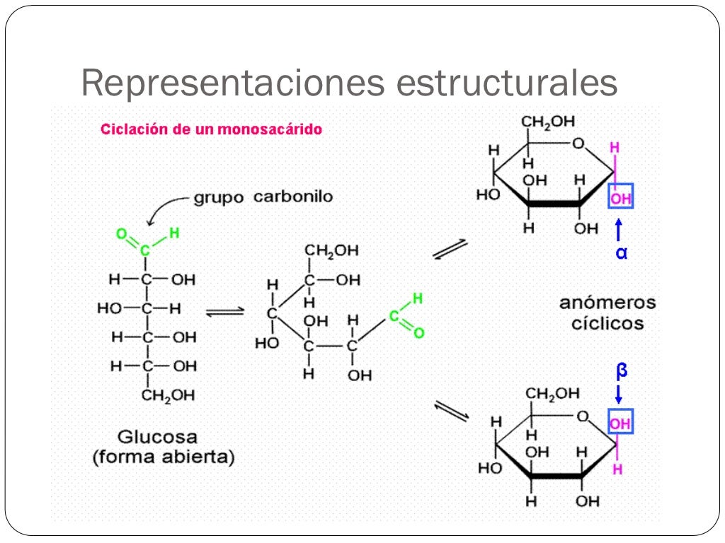 4. estructuras de hidratos de carbono