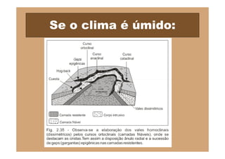 Se o clima é úmido:
 