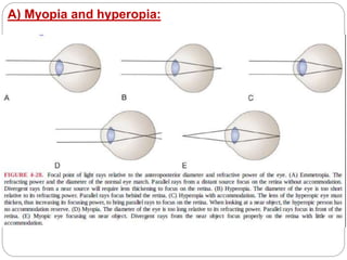 examination of the peripheral ocular system | PPTX