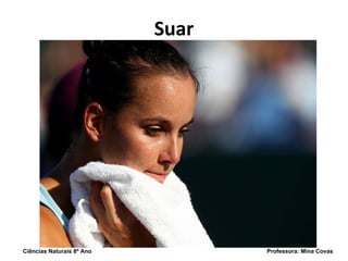 Suar Ciências Naturais 8º Ano  Professora: Mina Covas 