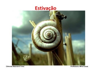 Estivação Ciências Naturais 8º Ano  Professora: Mina Covas 