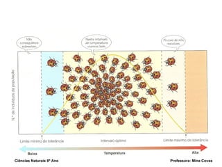 Ciências Naturais 8º Ano  Professora: Mina Covas 