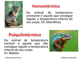 Homeotérmico Poiquilotérmico Ou animal de temperatura constante é aquele que consegue regular a temperatura interna do seu corpo. EX: Mamíferos Ou animal de temperatura variável é aquele que não consegue regular a temperatura interna do seu corpo.  Ex: Répteis Ciências Naturais 8º Ano  Professora: Mina Covas 