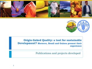 Origin-linked Quality: a tool for sustainable
Development? Morocco, Brazil and Guinea present their
experience
Publications and projects developed
1
 