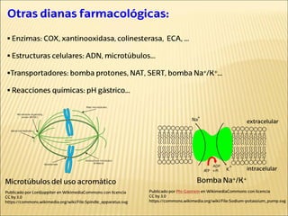 Otras dianas farmacológicas:
 Enzimas: COX, xantinooxidasa, colinesterasa, ECA, …
 Estructuras celulares: ADN, microtúbulos…
Transportadores: bomba protones, NAT, SERT, bomba Na+/K+…
 Reacciones químicas: pH gástrico…
Publicado por Lordjuppiter en WikimediaCommons con licencia
CC by 3.0
https://commons.wikimedia.org/wiki/File:Spindle_apparatus.svg
Microtúbulos del uso acromático Bomba Na+/K+
Publicado por Phi-Gastrein en WikimediaCommons con licencia
CC by 3.0
https://commons.wikimedia.org/wiki/File:Sodium-potassium_pump.svg
extracelular
intracelular
 