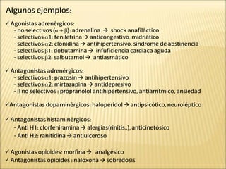  Agonistas adrenérgicos:
- no selectivos (α + β): adrenalina  shock anafiláctico
- selectivos α1: fenilefrina  anticongestivo, midriático
- selectivos α2: clonidina  antihipertensivo, síndrome de abstinencia
- selectivos β1: dobutamina  infuficiencia cardiaca aguda
- selectivos β2: salbutamol  antiasmático
 Antagonistas adrenérgicos:
- selectivos α1: prazosin  antihipertensivo
- selectivos α2: mirtazapina  antidepresivo
- β no selectivos : propranolol antihipertensivo, antiarrítmico, ansiedad
Antagonistas dopaminérgicos: haloperidol  antipsicótico, neuroléptico
 Antagonistas histaminérgicos:
- Anti H1: clorfeniramina  alergias(rinitis..), anticinetósico
- Anti H2: ranitidina  antiulceroso
 Agonistas opioides: morfina  analgésico
 Antagonistas opioides : naloxona  sobredosis
Algunos ejemplos:
 