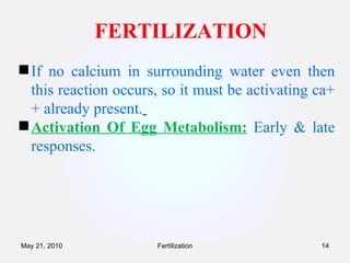 FERTILIZATION If no calcium in surrounding water even then this reaction occurs, so it must be activating ca++ already present.   Activation Of Egg Metabolism:   Early & late responses. Fertilization May 21, 2010 