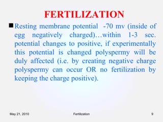 FERTILIZATION Resting membrane potential  -70 mv (inside of egg negatively charged)…within 1-3 sec. potential changes to positive, if experimentally this potential is changed polyspermy will be duly affected (i.e. by creating negative charge polyspermy can occur OR no fertilization by keeping the charge positive). Fertilization May 21, 2010 