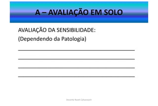 4. ficha aval aula