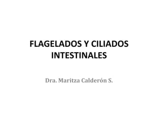 FLAGELADOS Y CILIADOS
    INTESTINALES

   Dra. Maritza Calderón S.
 