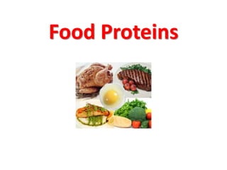 Food Proteins

 