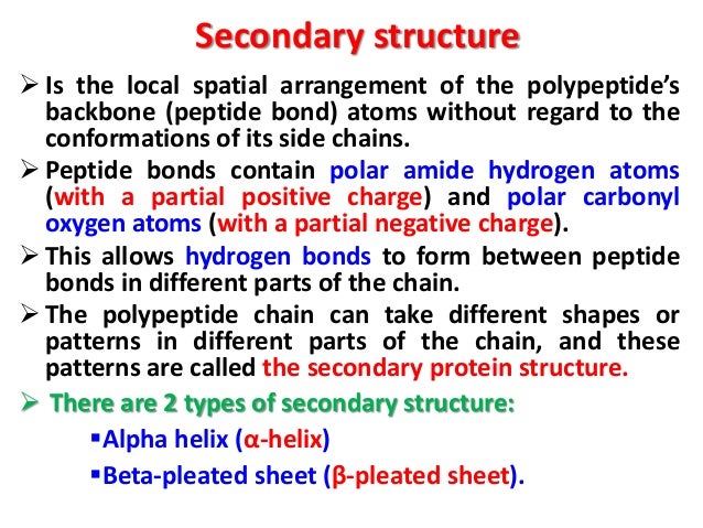 hydrogen bonding examples