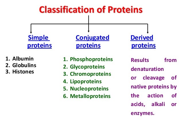 Food proteins