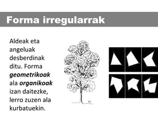 Forma irregularrak
Aldeak eta
angeluak
desberdinak
ditu. Forma
geometrikoak
ala organikoak
izan daitezke,
lerro zuzen ala
kurbatuekin.

 