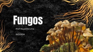 Prof Rayanne Lima
BIOLOGIA
Fungos
 