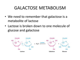 • We need to remember that galactose is a
metabolite of lactose
• Lactose is broken down to one molecule of
glucose and galactose
GALACTOSE METABOLISM
 