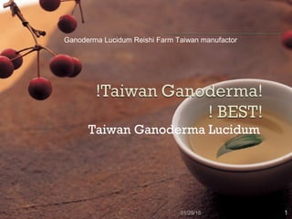 Taiwan Ganoderma Lucidum
01/29/15 1
Ganoderma Lucidum Reishi Farm Taiwan manufactor
 