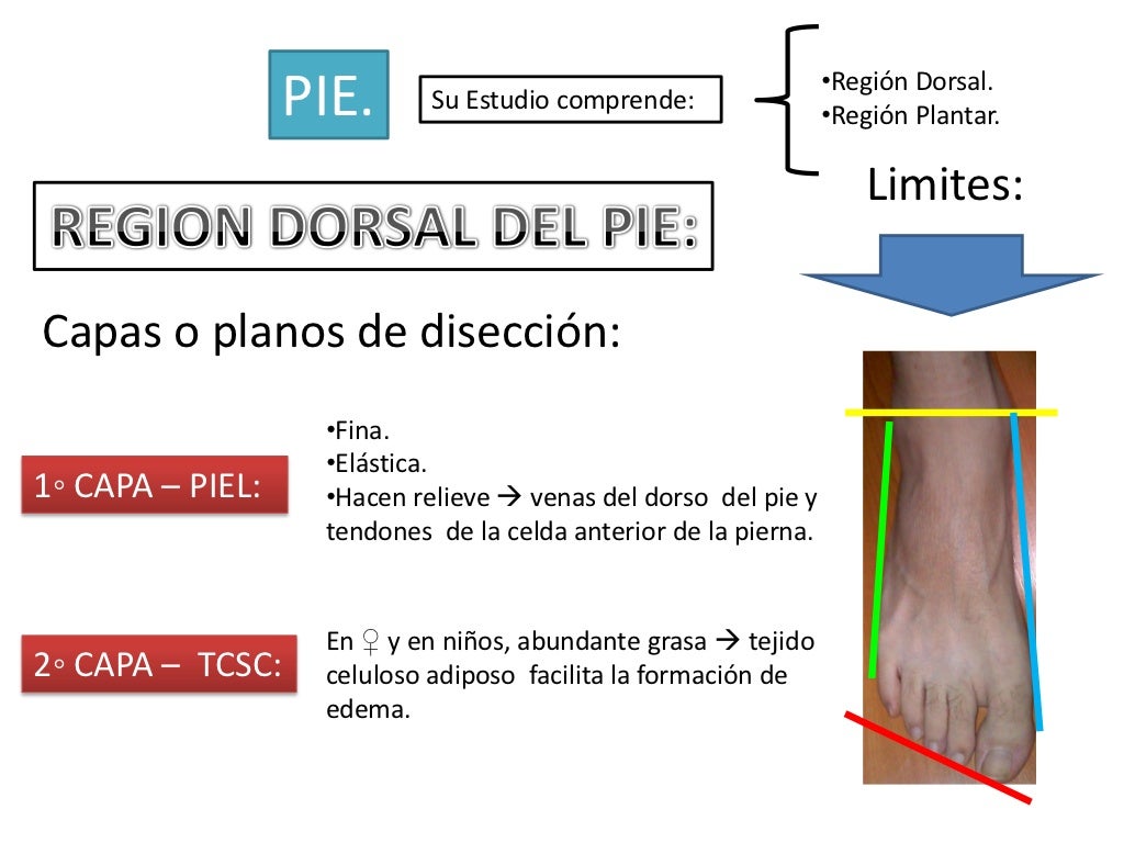 4. garganta de pie y pie