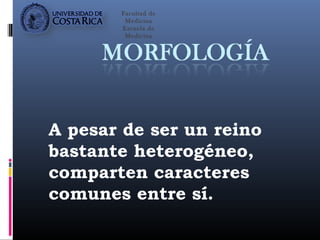 Facultad de
        Medicina
       Escuela de
        Medicina




A pesar de ser un reino
bastante heterogéneo,
comparten caracteres
comunes entre sí.
 