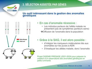 Sag Ruminants 04-La génomique, un outil pour la sélection des ovins | PPTX