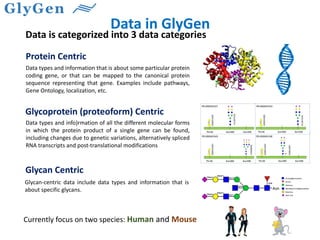 Data in GlyGen
Data is categorized into 3 data categories
Protein Centric
Glycan Centric
Glycoprotein (proteoform) Centric
Currently focus on two species: Human and Mouse
Data types and information that is about some particular protein
coding gene, or that can be mapped to the canonical protein
sequence representing that gene. Examples include pathways,
Gene Ontology, localization, etc.
Data types and info)rmation of all the different molecular forms
in which the protein product of a single gene can be found,
including changes due to genetic variations, alternatively spliced
RNA transcripts and post-translational modifications
Glycan-centric data include data types and information that is
about specific glycans.
 