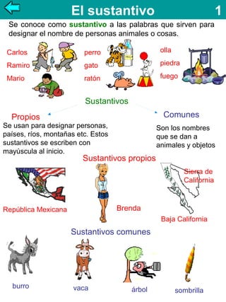 El sustantivo

1

Se conoce como sustantivo a las palabras que sirven para
designar el nombre de personas animales o cosas.
Carlos

perro

olla

Ramiro

gato

piedra

Mario

ratón

fuego

Sustantivos
Comunes

Propios

Se usan para designar personas,
países, ríos, montañas etc. Estos
sustantivos se escriben con
mayúscula al inicio.

Son los nombres
que se dan a
animales y objetos

Sustantivos propios
Sierra de
California

Brenda

República Mexicana

Baja California

Sustantivos comunes

burro

vaca

árbol

sombrilla

 