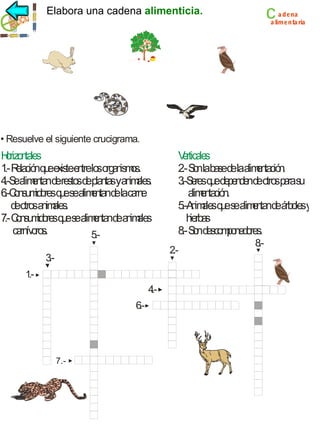 c

cadena alimentaria
Elabora una cadena alimenticia.

a d ena
a lime n ta ria

• Resuelve el siguiente crucigrama.

H n les
orizo ta
1 R ció qu e tee trelo o a isms.
.- ela n e xis n s rg n o
4 ea e ta d re sd pla syan a s
.-S limn n e sto e nta im le .
6 o um o q esealimntand laca e
.-C ns id res u
e
e rn
d o sa ales
e tro nim .
7 C su id re q es a en nd a imle
.- on m o s u e lim ta e n a s
ca ív ro
rn o s.
5
.-

V rtica s
e le
2 S nlaba d laa en ió .
.- o
se e lim tac n
3 e q ede e de d o sp ras
.-S res u p n n e tro a u
a en ció
lim ta n.
5 n a sq es a e ta d á o sy
.-A imle u e lim n n e rb le
h a
ierb s
8 S nd sc p ne o s.
.- o e omo d re
2
.-

3
.1.-

4
.6
.-

7.-

8
.-

 