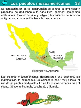 Los pueblos mesoamericanos

38

Se caracterizaron por la construcción de centros ceremoniales y
pirámides, se dedicaban a la agricultura, además, compartían
costumbres, formas de vida y religión, las culturas de América
antigua ocuparon la región llamada mesoamérica.

TAJIN

TEOTIHUACAN
AZTECAS

TOLTECAS
OLMECAS

MIXTECOS Y ZAPOTECAS

Las culturas mesoamericanas desarrollaron una escritura, las
matemáticas, la astronomía, un calendario solar muy exacto, el
uso de las plantas medicinales. Los cultivos más comunes eran el
cacao, tabaco, chile, maíz, cacahuate y jitomate.

 