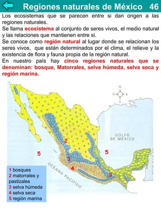 Regiones naturales de México 46
Los ecosistemas que se parecen entre si dan origen a las
regiones naturales.
Se llama ecosistema al conjunto de seres vivos, el medio natural
y las relaciones que mantienen entre si.
Se conoce como región natural al lugar donde se relacionan los
seres vivos, que están determinados por el clima, el relieve y la
existencia de flora y fauna propia de la región natural.
En nuestro país hay cinco regiones naturales que se
denominan: bosque, Matorrales, selva húmeda, selva seca y
región marina.

2
5
1 bosques
2 matorrales y
pastizales
3 selva húmeda
4 selva seca
5 región marina

5

1
4

3

 