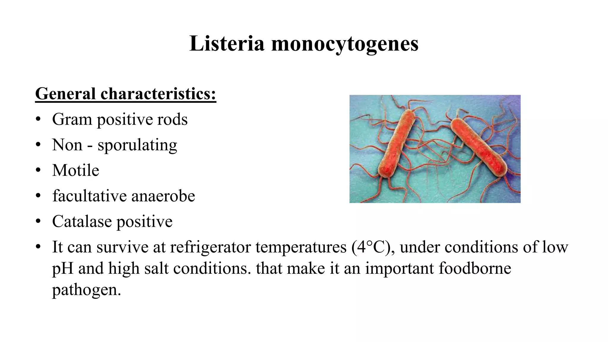 Motile Rods Gram Positive Non-Spore Forming Rods | PPTX