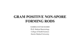 GRAM POSITIVE NON-SPORE
FORMING RODS
SAMIRA FATTAH HAMID
Ph.D. Medical Bacteriology
College of Health Sciences
Hawler Medical University
 