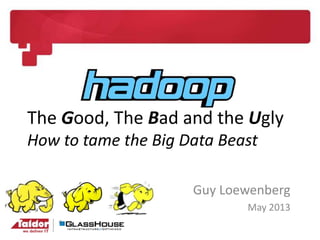 The Good, The Bad and the Ugly
How to tame the Big Data Beast
Guy Loewenberg
May 2013
 