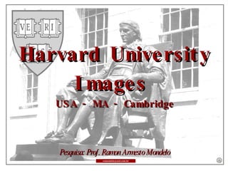 Harvard University Images  USA - MA - Cambridge Pesquisa: Prof. Ramon Armesto Mondelo [email_address] 