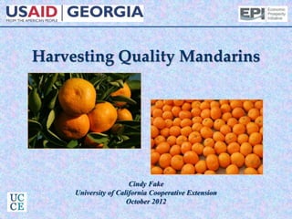 Harvesting Quality Mandarins
Cindy Fake
University of California Cooperative Extension
October 2012
 