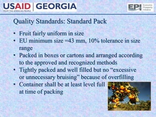 Quality Standards: Standard Pack
• Fruit fairly uniform in size
• EU minimum size =43 mm, 10% tolerance in size
range
• Packed in boxes or cartons and arranged according
to the approved and recognized methods
• Tightly packed and well filled but no “excessive
or unnecessary bruising” because of overfilling
• Container shall be at least level full
at time of packing
 