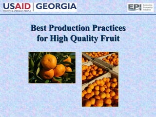 Best Production Practices
for High Quality Fruit
 