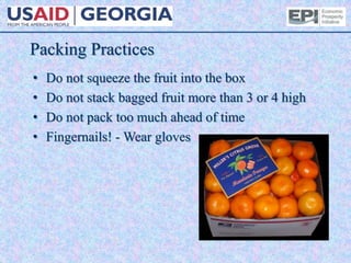 Packing Practices
• Do not squeeze the fruit into the box
• Do not stack bagged fruit more than 3 or 4 high
• Do not pack too much ahead of time
• Fingernails! - Wear gloves
 