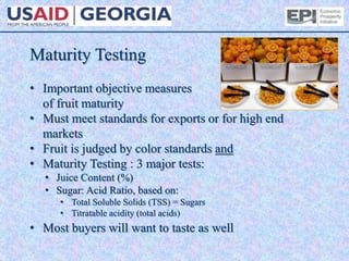 Maturity Testing
• Important objective measures
of fruit maturity
• Must meet standards for exports or for high end
markets
• Fruit is judged by color standards and
• Maturity Testing : 3 major tests:
• Juice Content (%)
• Sugar: Acid Ratio, based on:
• Total Soluble Solids (TSS) = Sugars
• Titratable acidity (total acids)
• Most buyers will want to taste as well
 